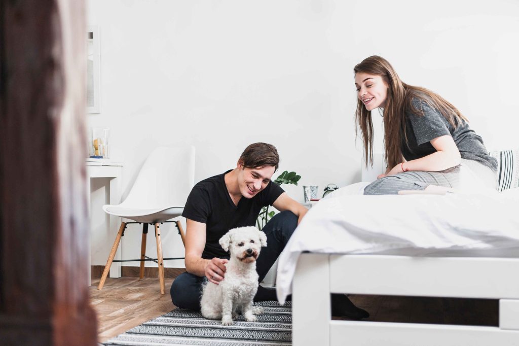 Guiding First-Time Owners Toward Confident Leadership